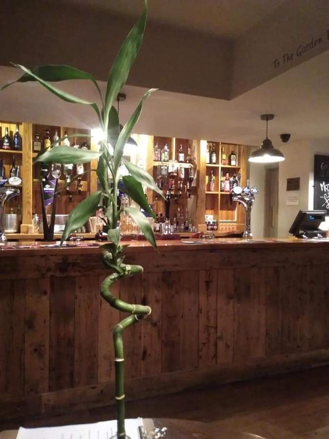 The Stag Northwood (Isle of Wight) Exterior foto